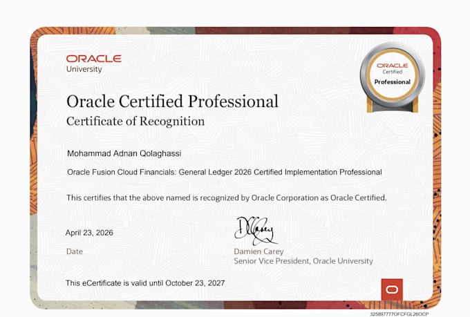 provide expert oracle fusion financials and ebs consulting